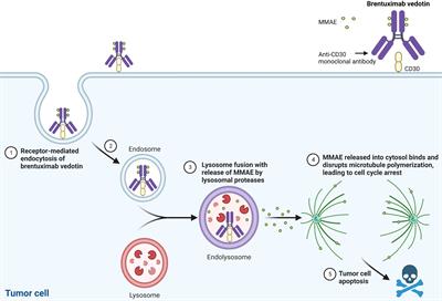 Brentuximab vedotin use in pediatric anaplastic large cell lymphoma